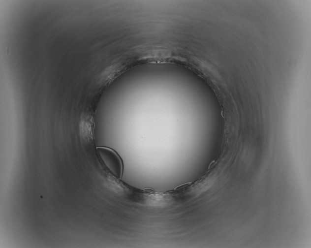 X0000111620432200907171248