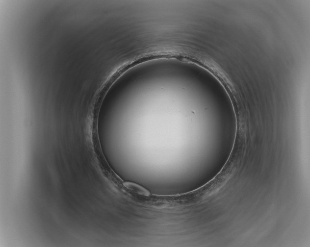 X0000111620434200907171247