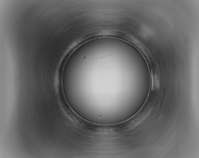 X0000111620435200907171247
