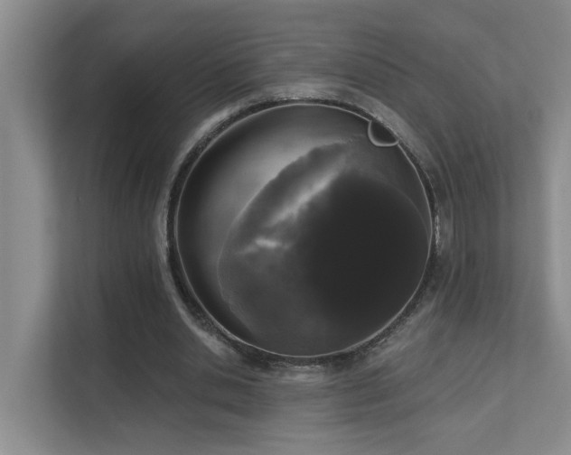 X0000111620438200907171247