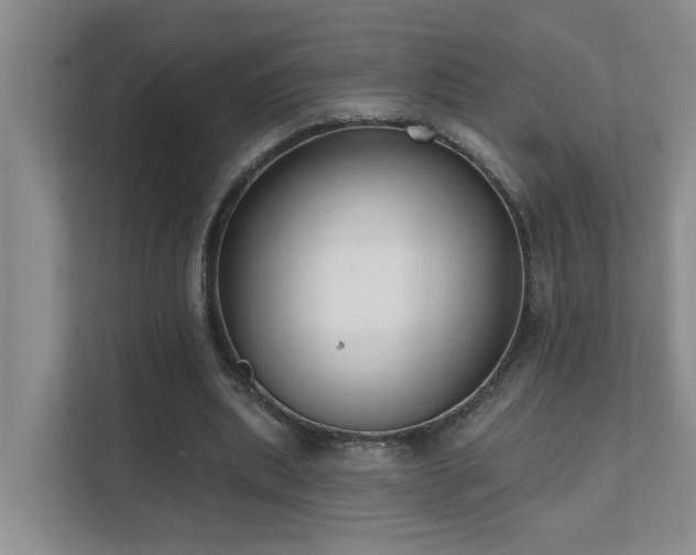 X0000111620439200907171247