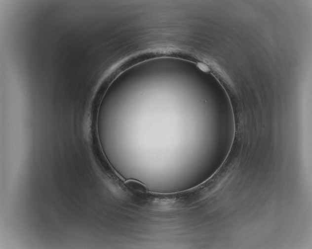X0000111620440200907171247
