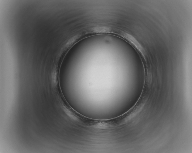 X0000111620441200907171247