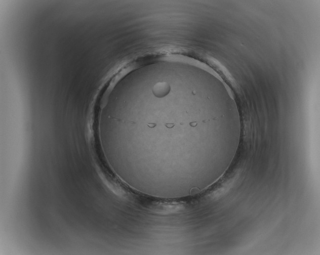 X0000111620443200907171247