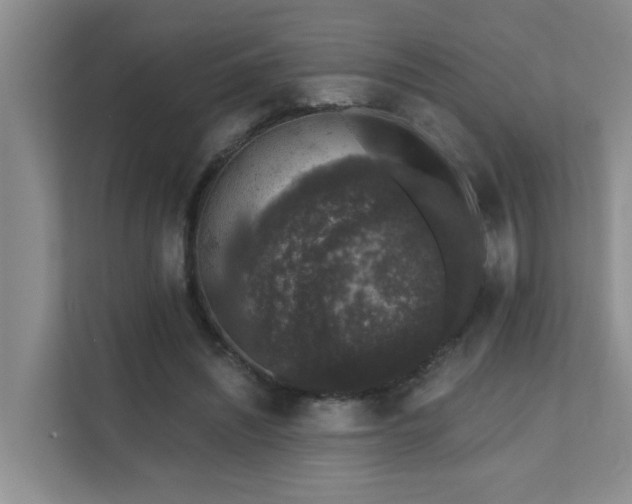 X0000111620444200907171247