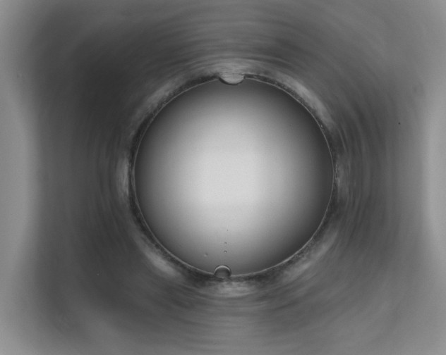 X0000111620445200907171247