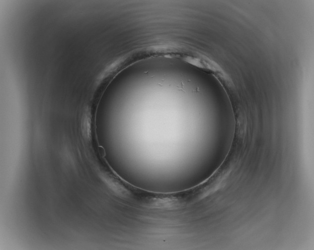 X0000111620446200907171247