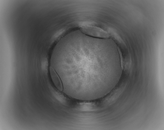X0000111620448200907171247