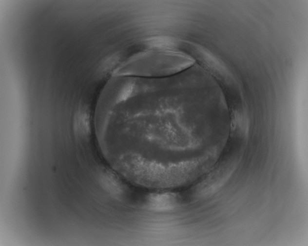 X0000111620452200907171247