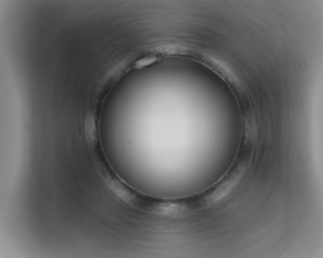 X0000111620453200907171247