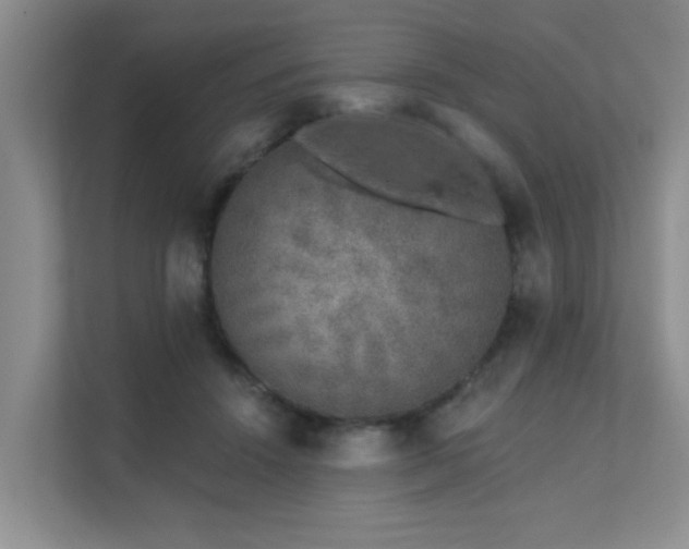 X0000111620456200907171247
