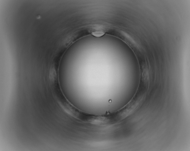 X0000111620459200907171247