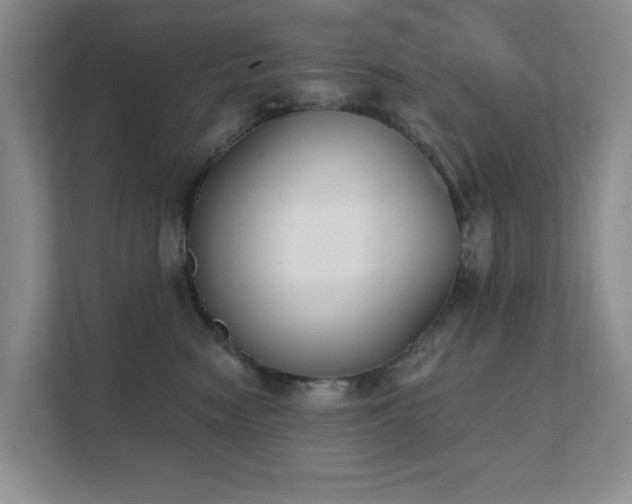 X0000111620474200907171248