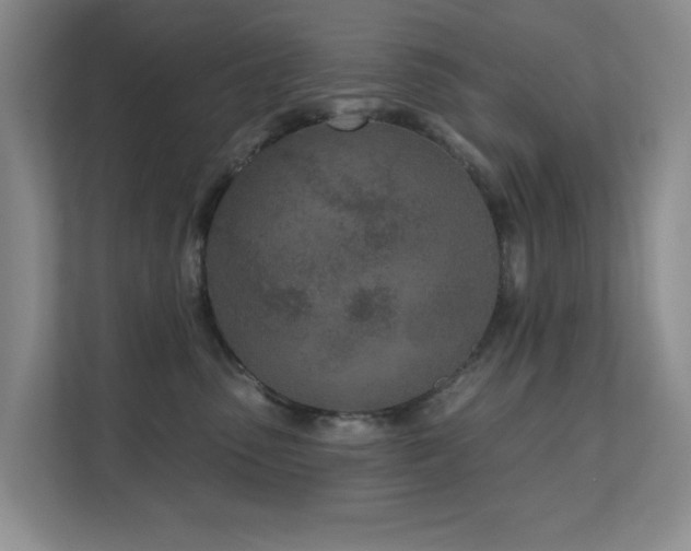 X0000111620475200907171248
