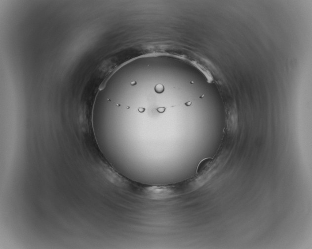 X0000111620477200907171248