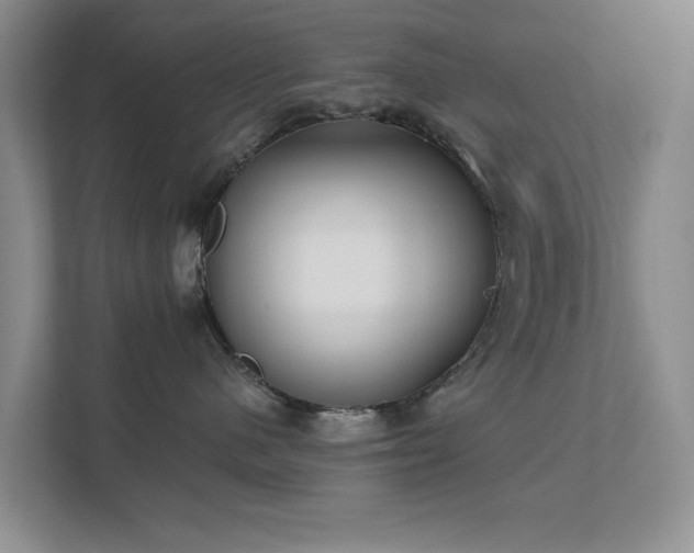 X0000111620480200907171248