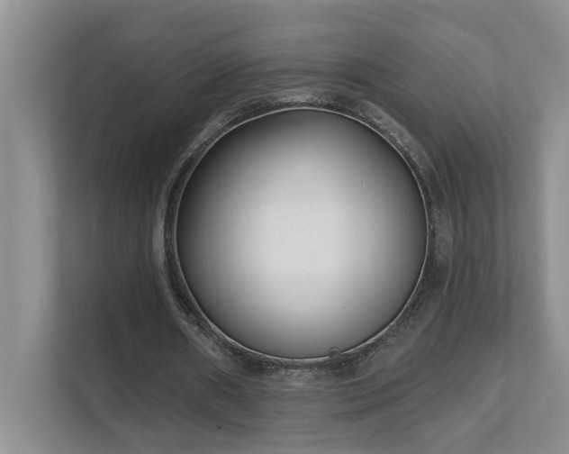 X0000111620482200907171247