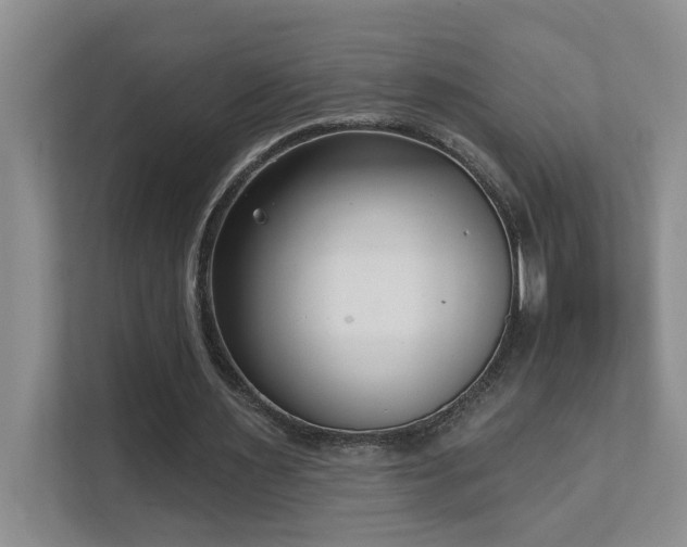 X0000111620483200907171247
