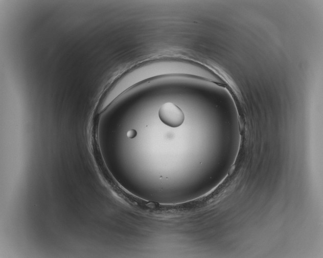X0000111620485200907171247