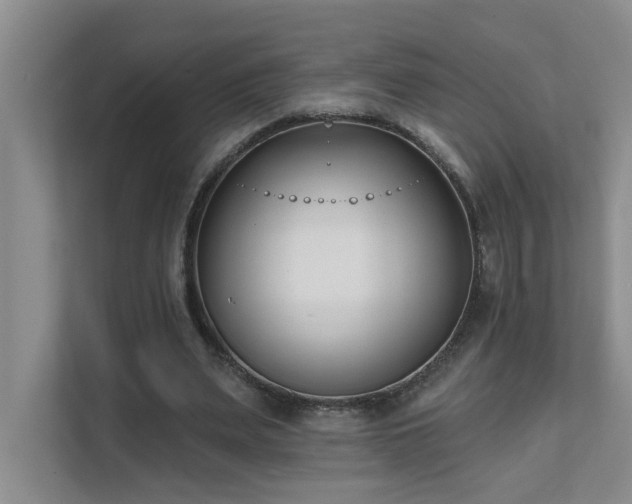 X0000111620487200907171247