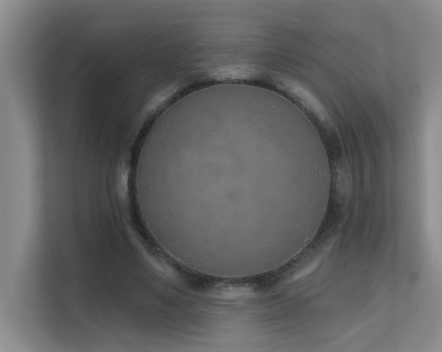X0000111620491200907171247