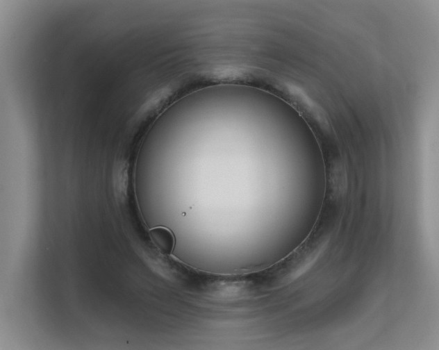 X0000111620495200907171247