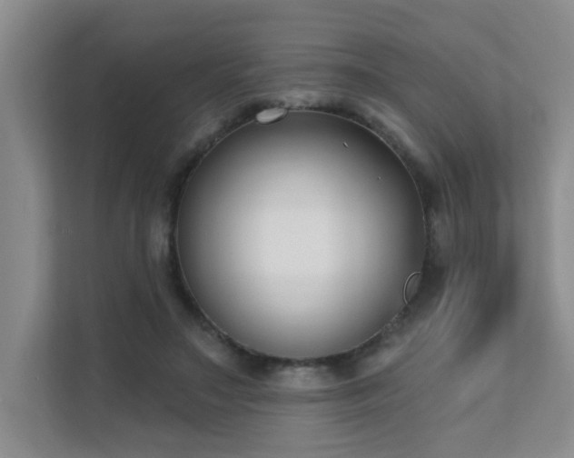 X0000111620499200907171247