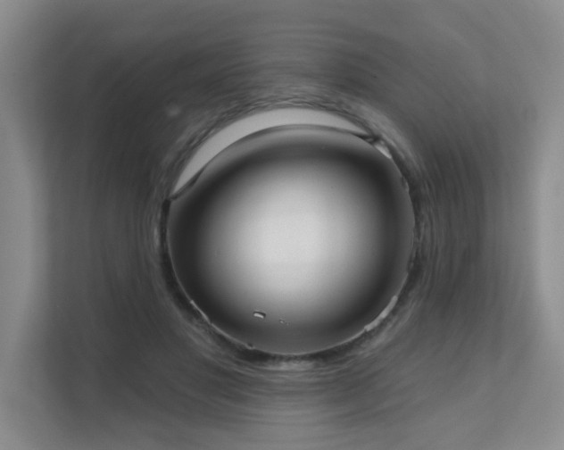 X0000111620501200907171247