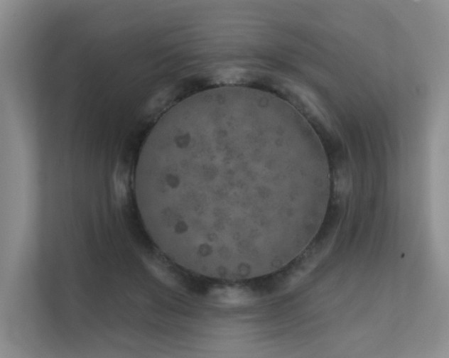 X0000111620503200907171247