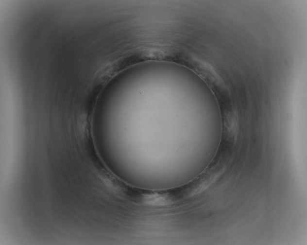 X0000111620511200907171247