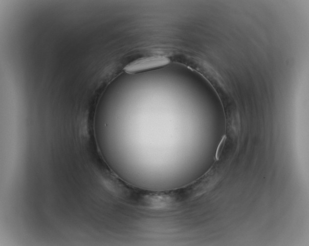 X0000111620512200907171247