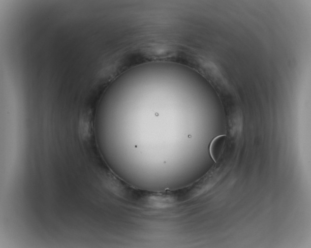 X0000111620515200907171247