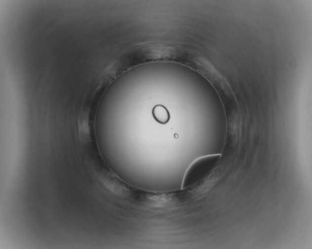 X0000111620516200907171247