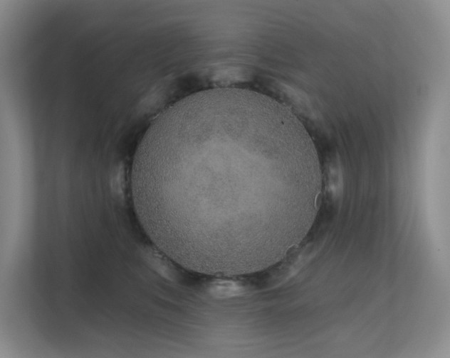X0000111620519200907171246