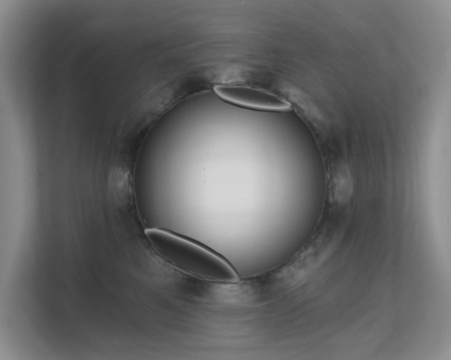 X0000111620521200907171246
