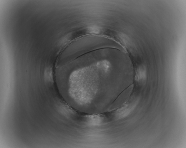 X0000111620524200907171246