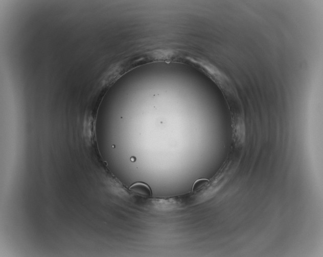 X0000111620525200907171246
