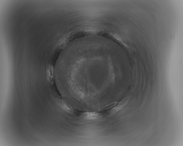 X0000111620528200907171246