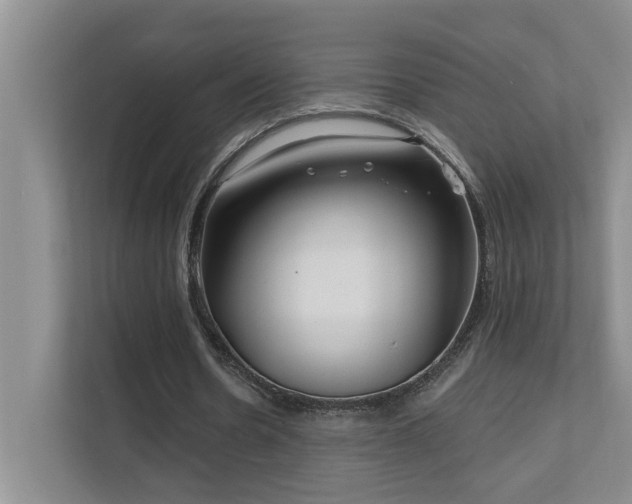 X0000111620530200907171246