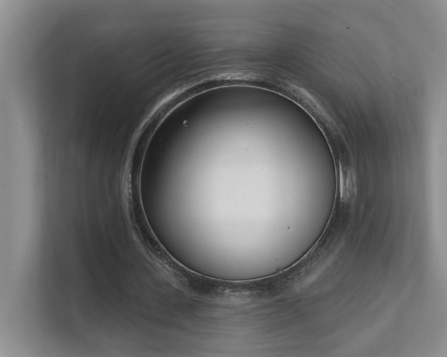 X0000111620531200907171246