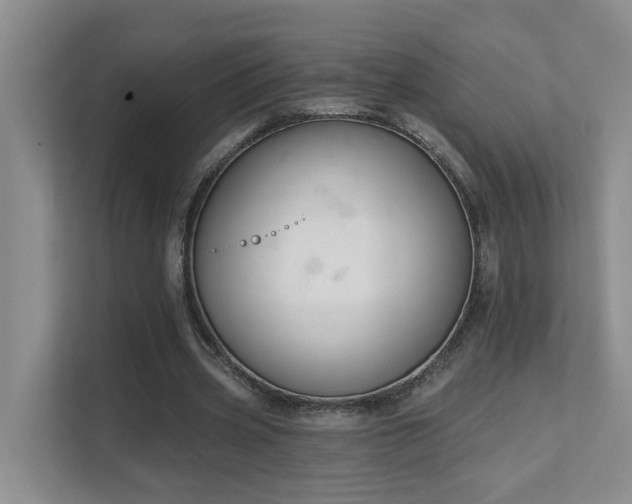 X0000111620533200907171246