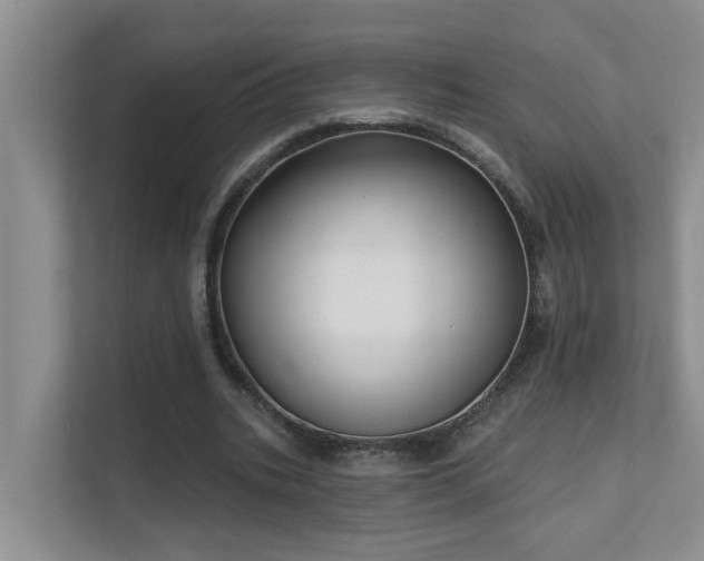 X0000111620535200907171246