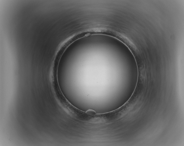 X0000111620536200907171246