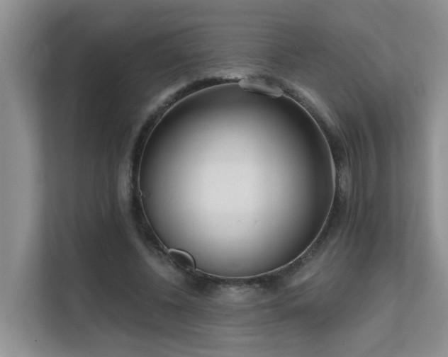 X0000111620540200907171246