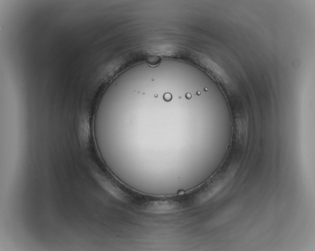 X0000111620541200907171246