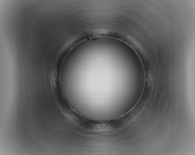 X0000111620544200907171246