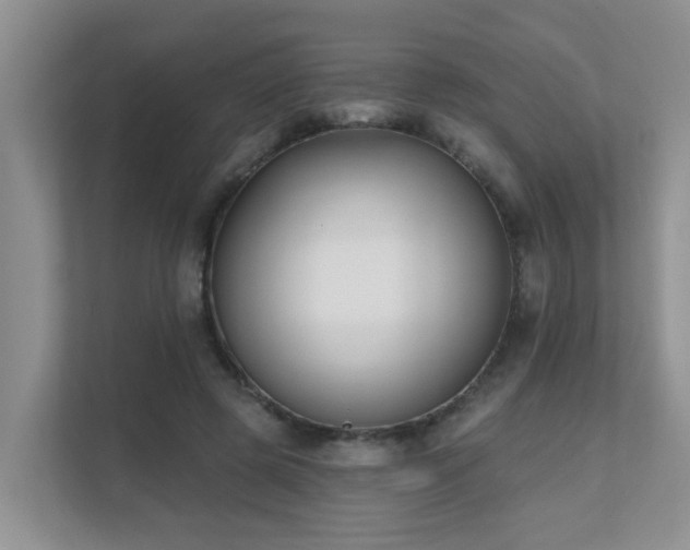 X0000111620545200907171246