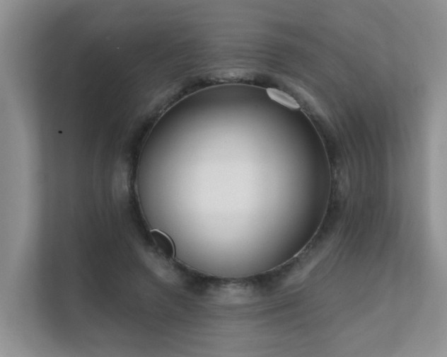 X0000111620546200907171246
