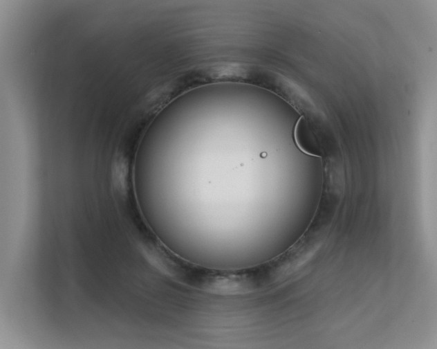 X0000111620550200907171246