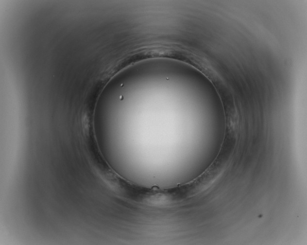 X0000111620551200907171246